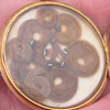 Olive Inscription