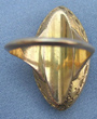 Tender Mourning Ring Back