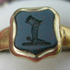 Leg Intaglio Front