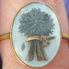 Wheat Front